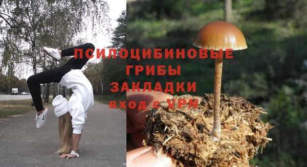 гидропоника Армянск